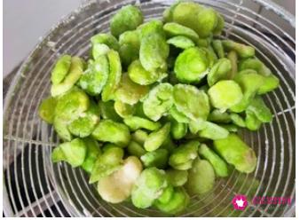 新鲜蚕豆的家常做法