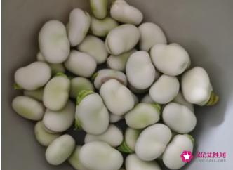 新鲜蚕豆的家常做法