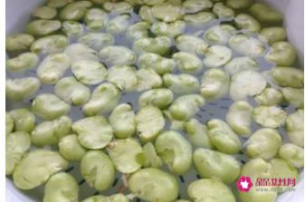 新鲜蚕豆的家常做法