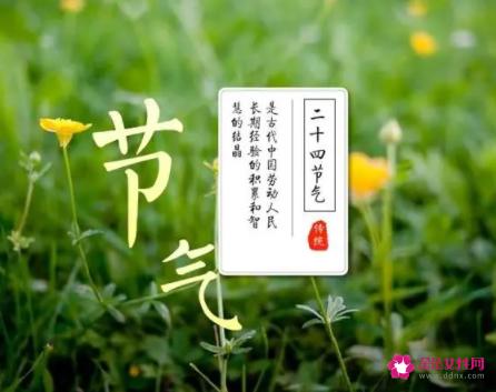 二十四节气要吃的传统食物