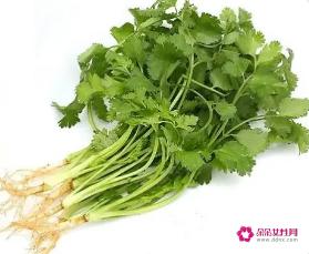 芫荽是什么植物