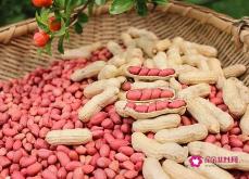 花生有哪些功效与作用
