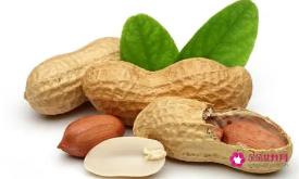 花生有哪些功效与作用