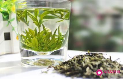 毛峰是什么茶