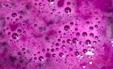 混合水果榨汁搭配大全