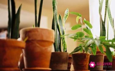 关于爱情的经典签名