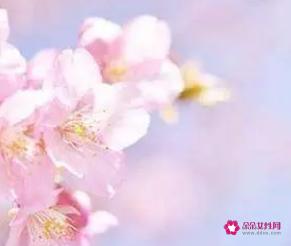 桃花劫是命中注定的吗