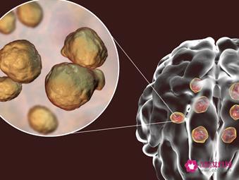 惯用右脑思维的人性格