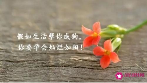 句句暖人心的关心话语