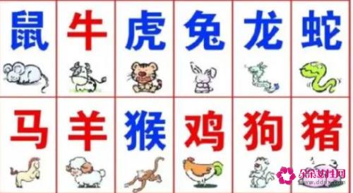 十二生肖男女最佳配对