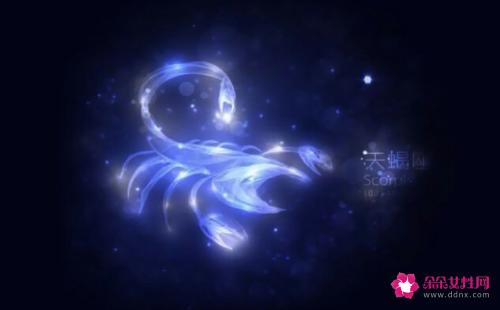 11月8号是什么星座的
