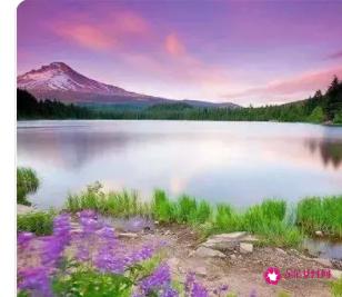 最旺财的微信头像带来好运