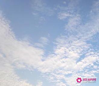 520朋友圈文案简短