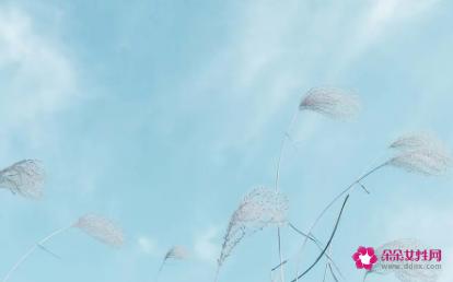 发给朋友的关心短信