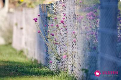 发给朋友的关心短信