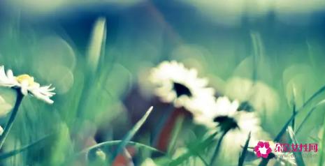 发给朋友的关心短信