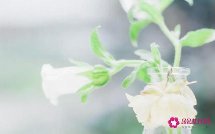 发给朋友的关心短信