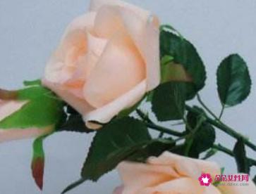 情人节送什么颜色的玫瑰