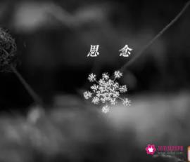 思念却不能相见的短句