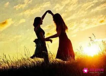 感情是指爱情还是友情