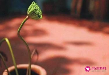 珍惜当下的唯美句子
