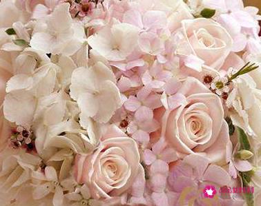 送玫瑰给女朋友几朵合适