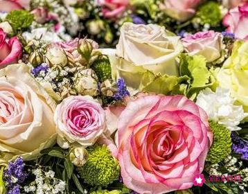 送玫瑰给女朋友几朵合适