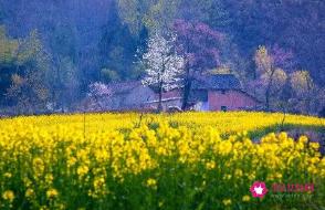 美丽的近义词是什么