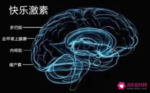 为什么一接吻男的就伸舌头