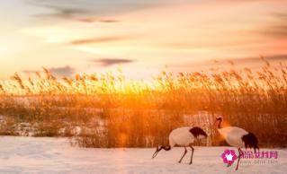 七夕情人节浪漫短句