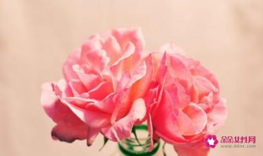 感觉已经不会再爱了