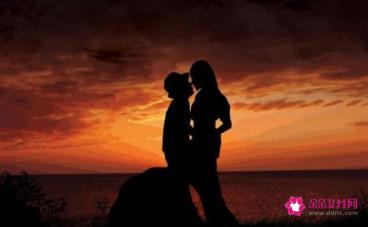 感觉已经不会再爱了