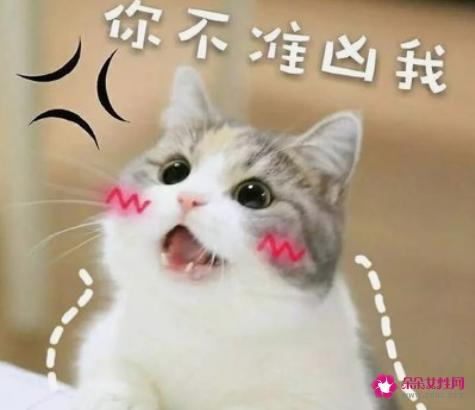 教你如何撒娇