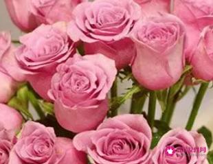 情人节送几朵花比较好