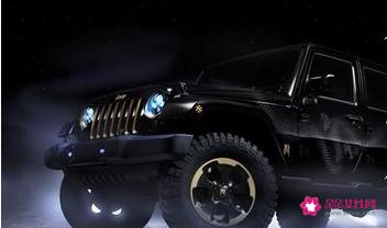 一颗黑色的心代表什么意思