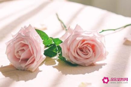 内向性格的女生的特点