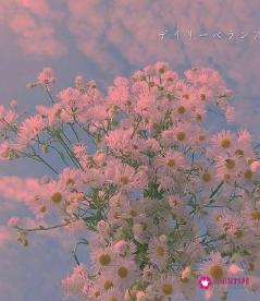 不离不弃的网名昵称