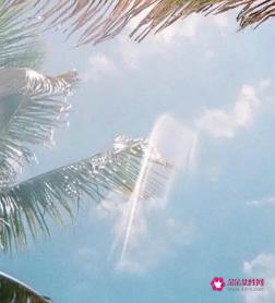 不离不弃的网名昵称