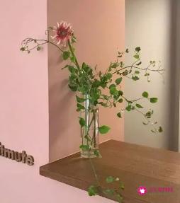 不离不弃的网名昵称