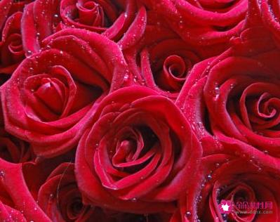 情人生日红包数字含义