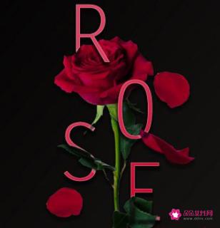 情人节红包数字意义一生一世