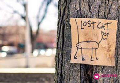 刚结婚一天做几次