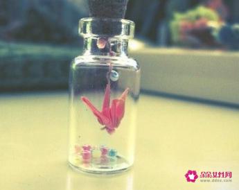 如何去追求自己喜欢的人