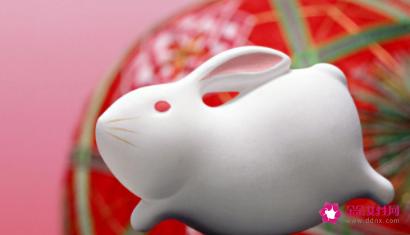 属兔女的和什么属相最配相克