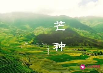 芒种送花神的短语句子