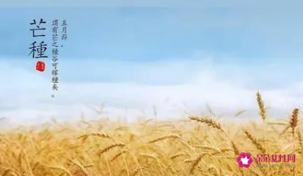 芒种送花神的短语句子