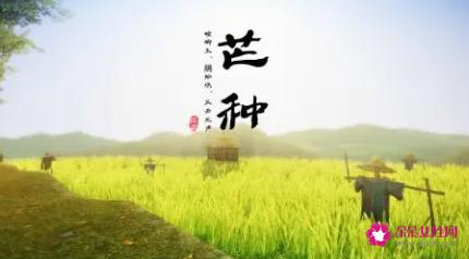 芒种送花神的短语句子