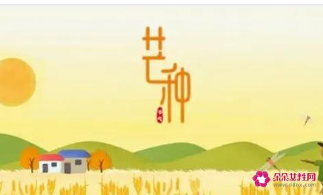 芒种送花神的短语句子