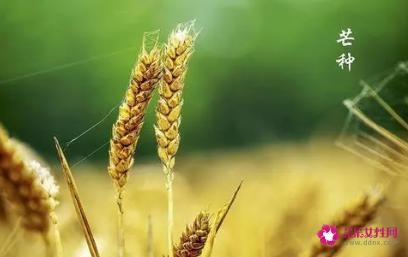 芒种送花神的短语句子