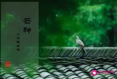 芒种送花神的短语句子